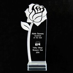 EXCLUSIVE! Acrylic and Crystal Engraved Award - 9-1/2