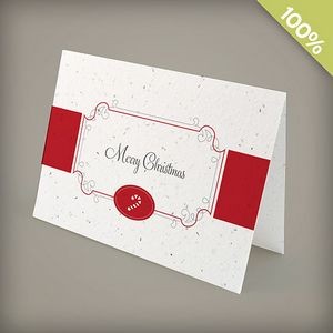 A6 100% Plantable Personalized Candy Cane Christmas Card