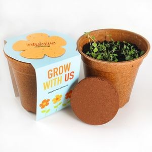 Flower Power Seed Paper Sprouter Kit