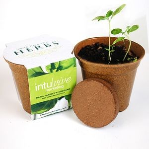 Herb Seed Paper Sprouter Kit