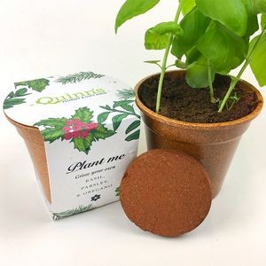 Season's Greenings Herb Seed Paper Sprouter Kit