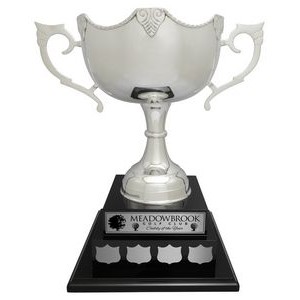 Dublin Cup - Rosewood Base, Award Trophy, 1