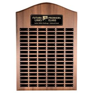 Cathedral Annual Plaque, Award Trophy, 2x3