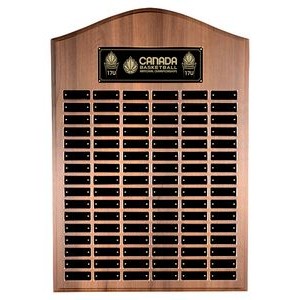 Cathedral Annual Plaque, Award Trophy, 2x3