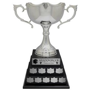 Dublin Cup - Rosewood Base, Award Trophy, 18"