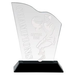Snap-In Acrylic Wave, Award Trophy, 6