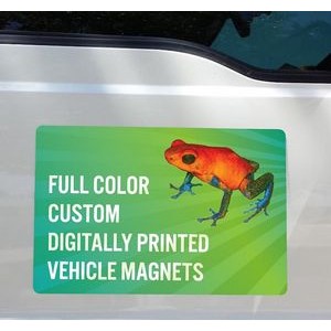 Vehicle Magnets 18" x 12"