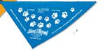 Printed Triangular Rally Flag