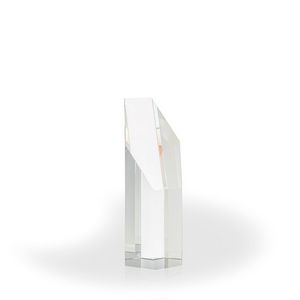Compass Crystal Award, Medium