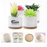 Mini Round Ceramic Flowerpot