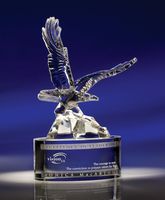 Soaring Eagle Crystal Award