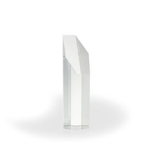 Compass Crystal Award, Large