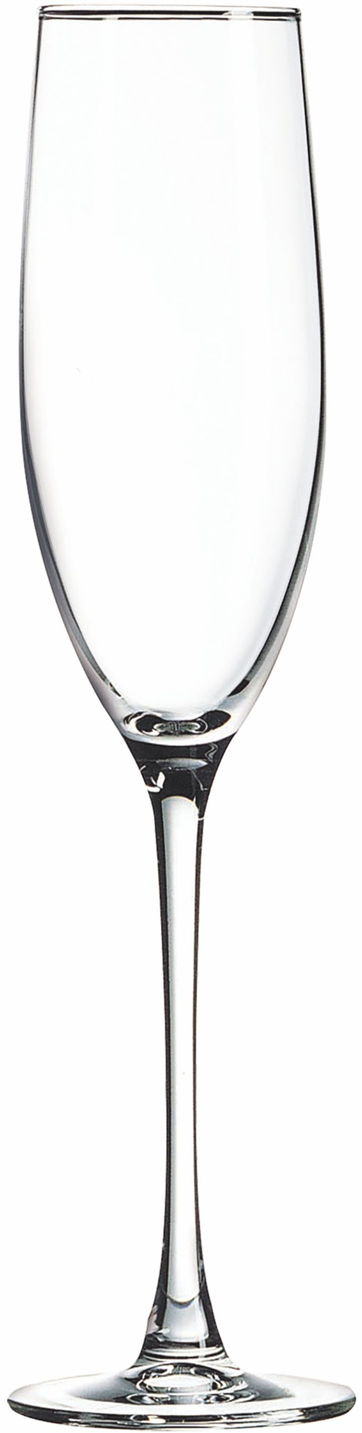 Polar Camel 8 oz Champagne Flute - Glasses-Drinking