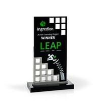 Matrix Award 11" Silver