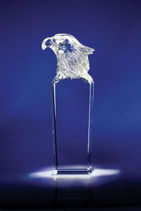 Sky Master Crystal Eagle Award