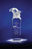 Sky Master Crystal Eagle Award