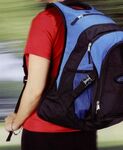 Pilot Laptop Backpack (Royal Blue/Black)
