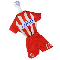 Various Mini Sports Jerseys - Shirts