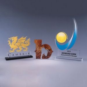 ½" Custom Cut Acrylic Award (Up to 64 Square Inch)
