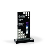 Matrix Award 9" Silver