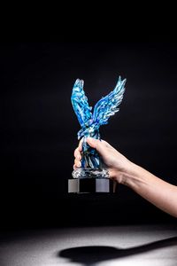 American Eagle (Blue)