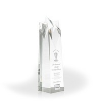Soaring Crystal Star Tower Award, Medium