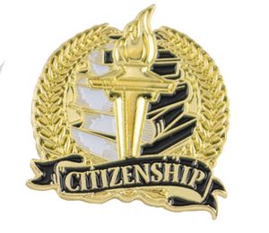 Bright Gold Academic Citizenship Lapel Pin (1-1/8")