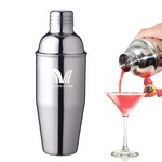 Professional Cocktail Shaker