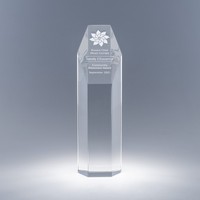 11.75'' Large Tower Award