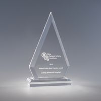 Vertex Acrylic Award