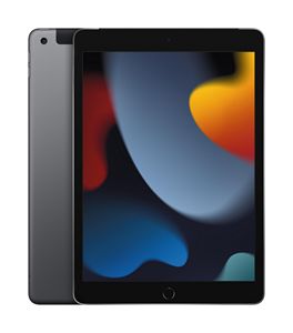 Apple 10.2" Ipad Wifi + Cell 9Th Gen 256Gb Space Gray