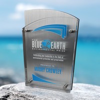 Fusion Silver Plaque 9-3/4"