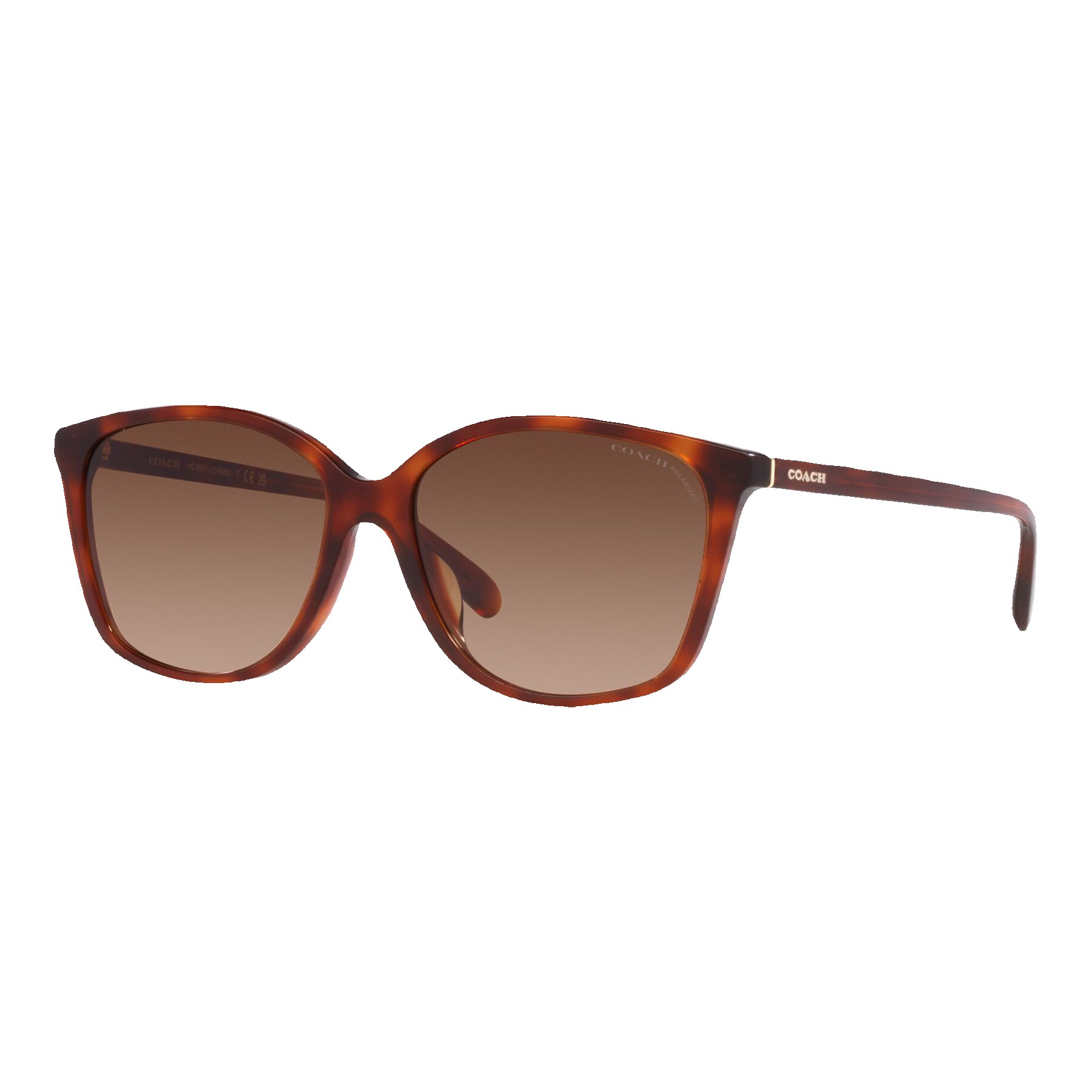 Coach Women's Polarized CH558 Sunglasses - Sunglasses