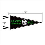 Custom Full Color College Felt Pennant Flag