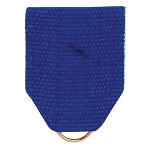 Blue Pin Back Ribbon