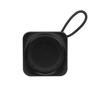 Rabs Speaker