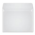 Monthly Monitor Envelope