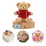 Custom Teddy Bear Plush Toy