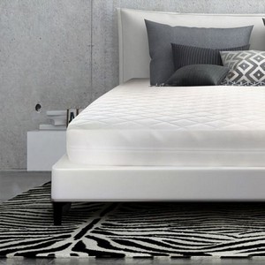 Bed Bug Encasement California King