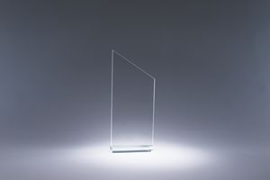 6.5" Transcend Crystal Award