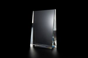 Marley Award (8"x6"x1.3")