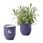 Modern Sprout® Garden Vibes Candle/Planter - Violet Hour-Lavender