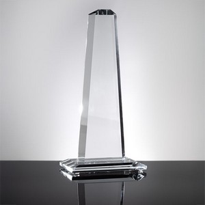 Capricorn Tower Award