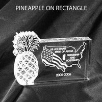 Clear Acrylic Stock Paperweights - Awards, Trophies