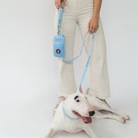Springland Walk Bag + Dog Leash - Balls, Toys